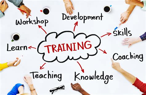 Education & Training 